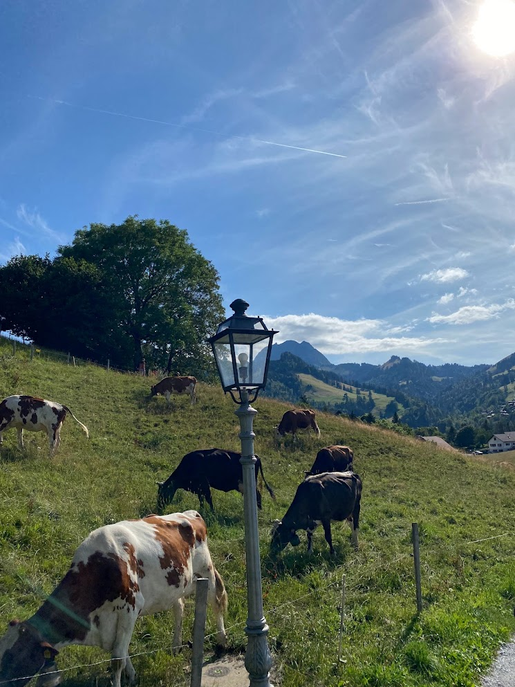 La Guyere, Switzerland