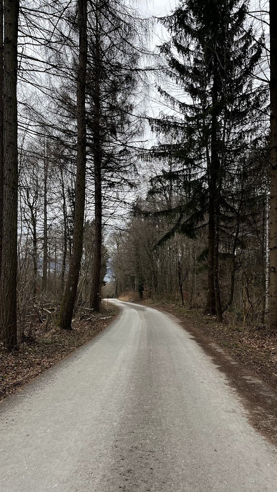 Uetilberg, Zurich